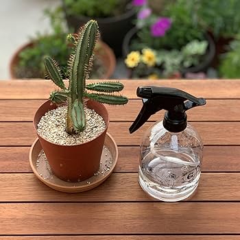 葉水 さま Amazon.co.jp: SPICE OF LIFE(スパイス) 霧吹き スプレーボトル